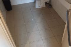 IMG-20230626-WA0019