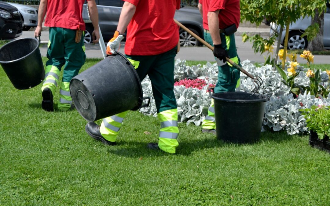 Entretien des espaces verts à Prades : une équipe professionnelle veille à l’entretien de votre extérieur